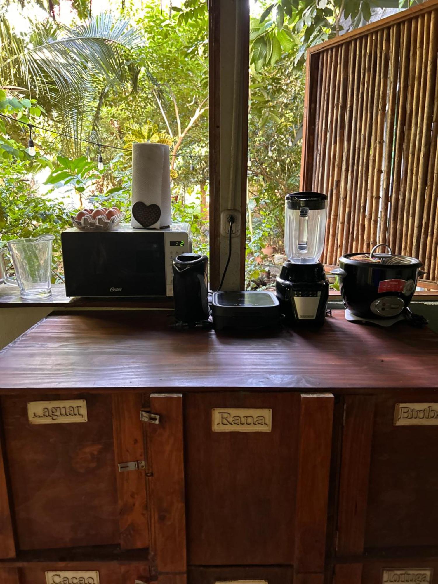 Organico Punta Riel Guest house *