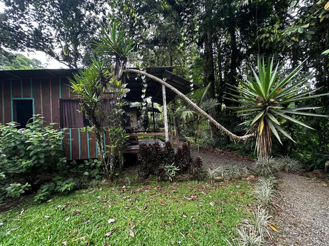 Bed & Breakfast Casa Rio Blanco Eco Friendly *