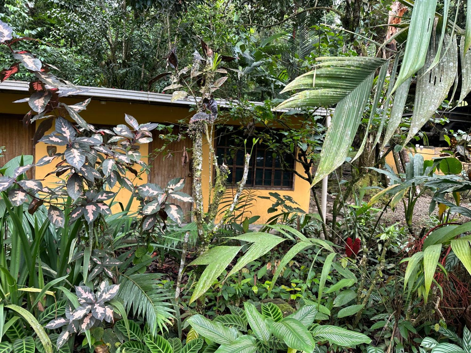 Bed & Breakfast Casa Rio Blanco Eco Friendly Guapiles