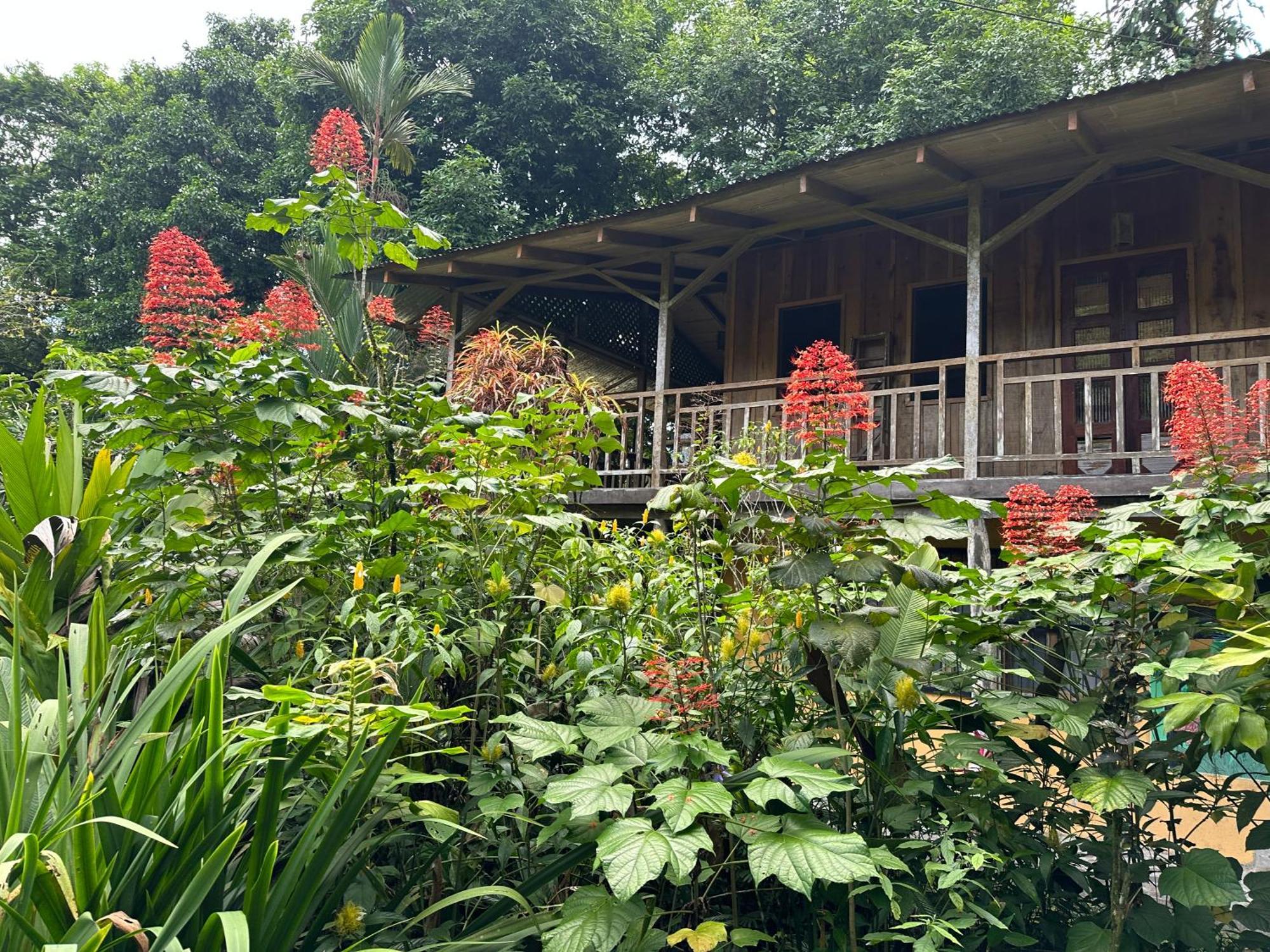 Casa Rio Blanco Eco Friendly *