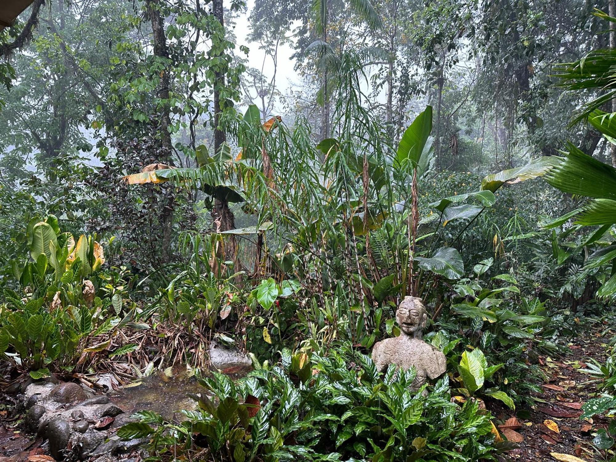 Bed & Breakfast Casa Rio Blanco Eco Friendly