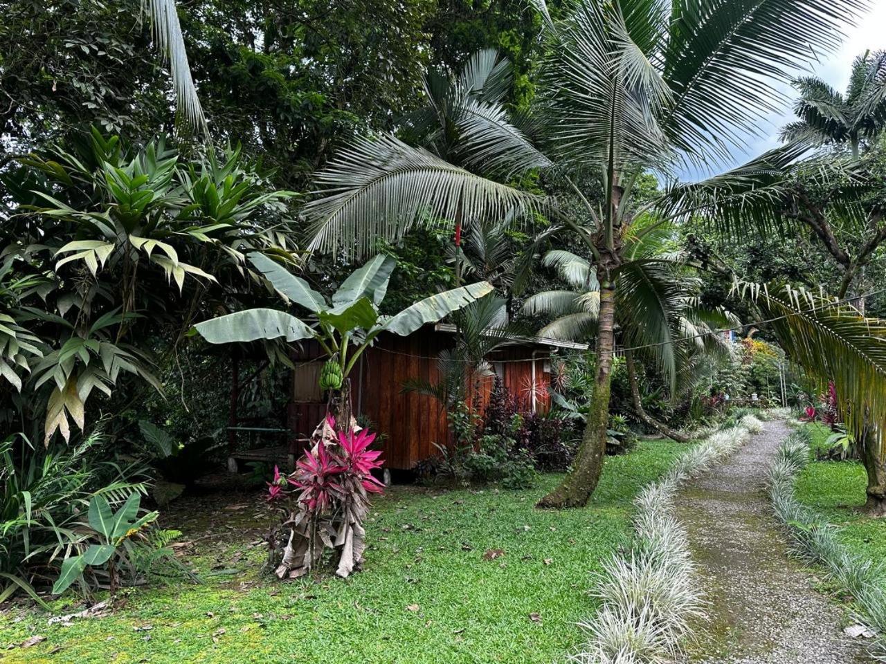 Bed & Breakfast Casa Rio Blanco Eco Friendly *