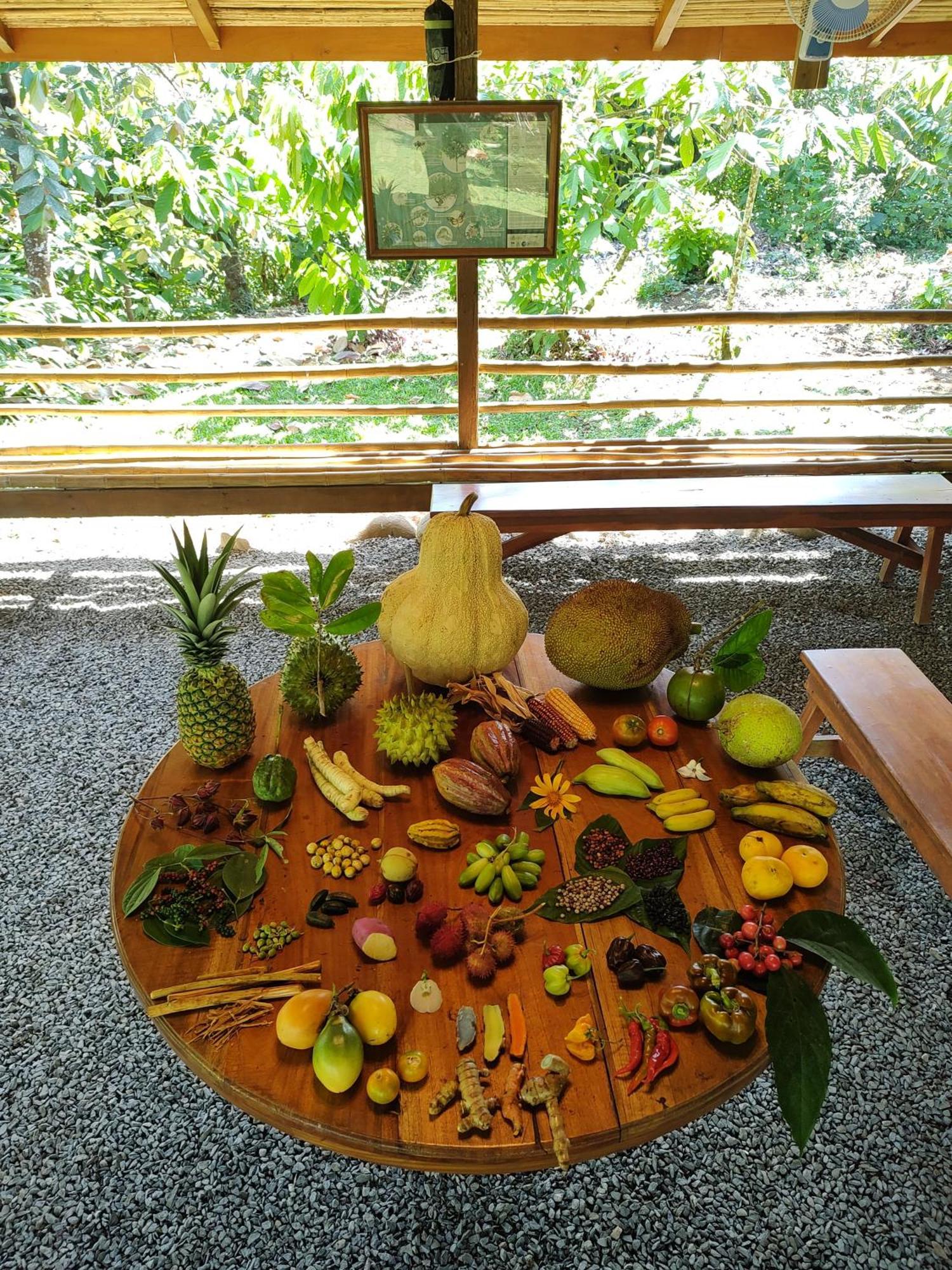Luna Nueva Hotel La Fortuna