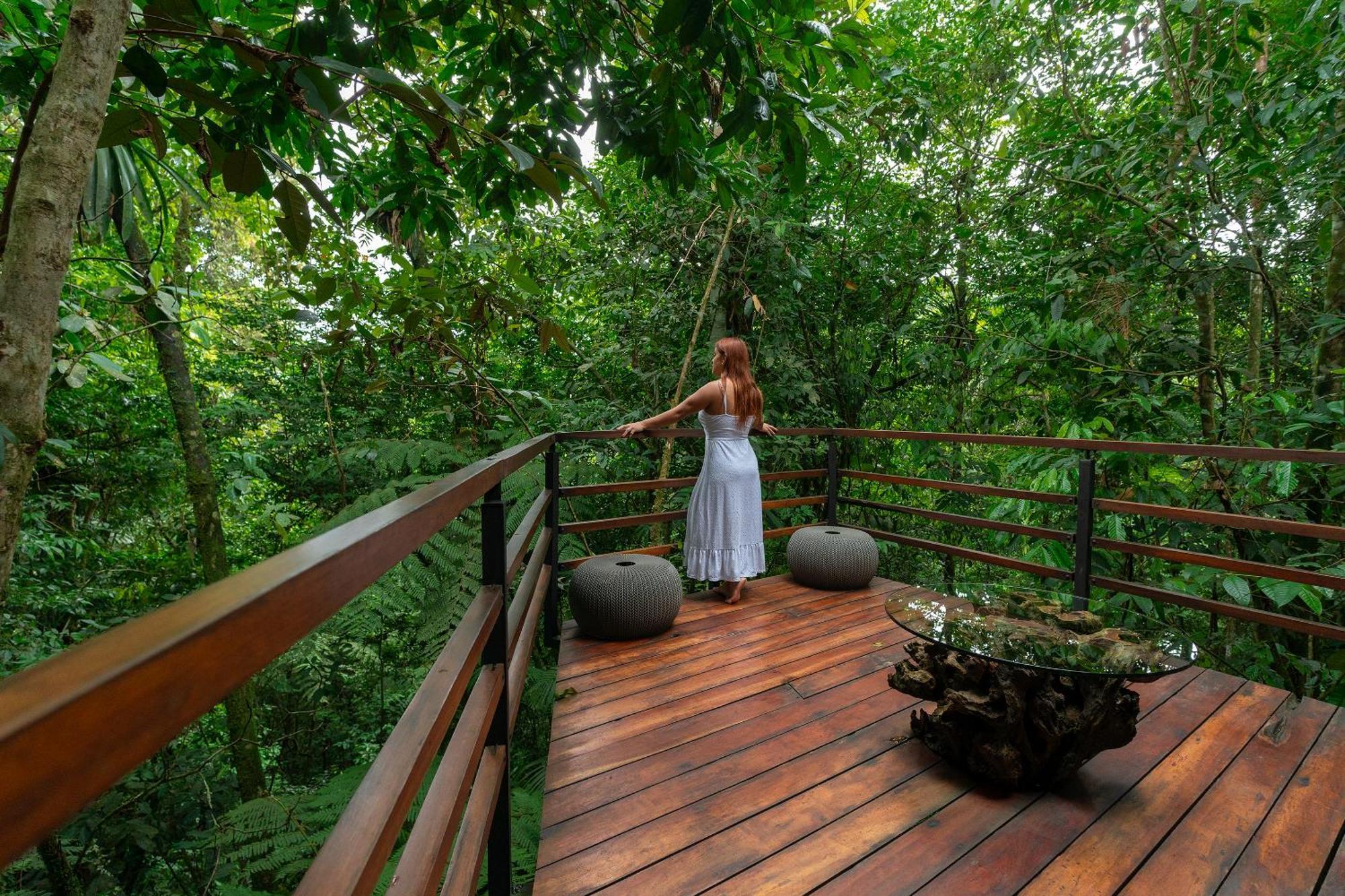 Ecolirios Boutique & Hotel