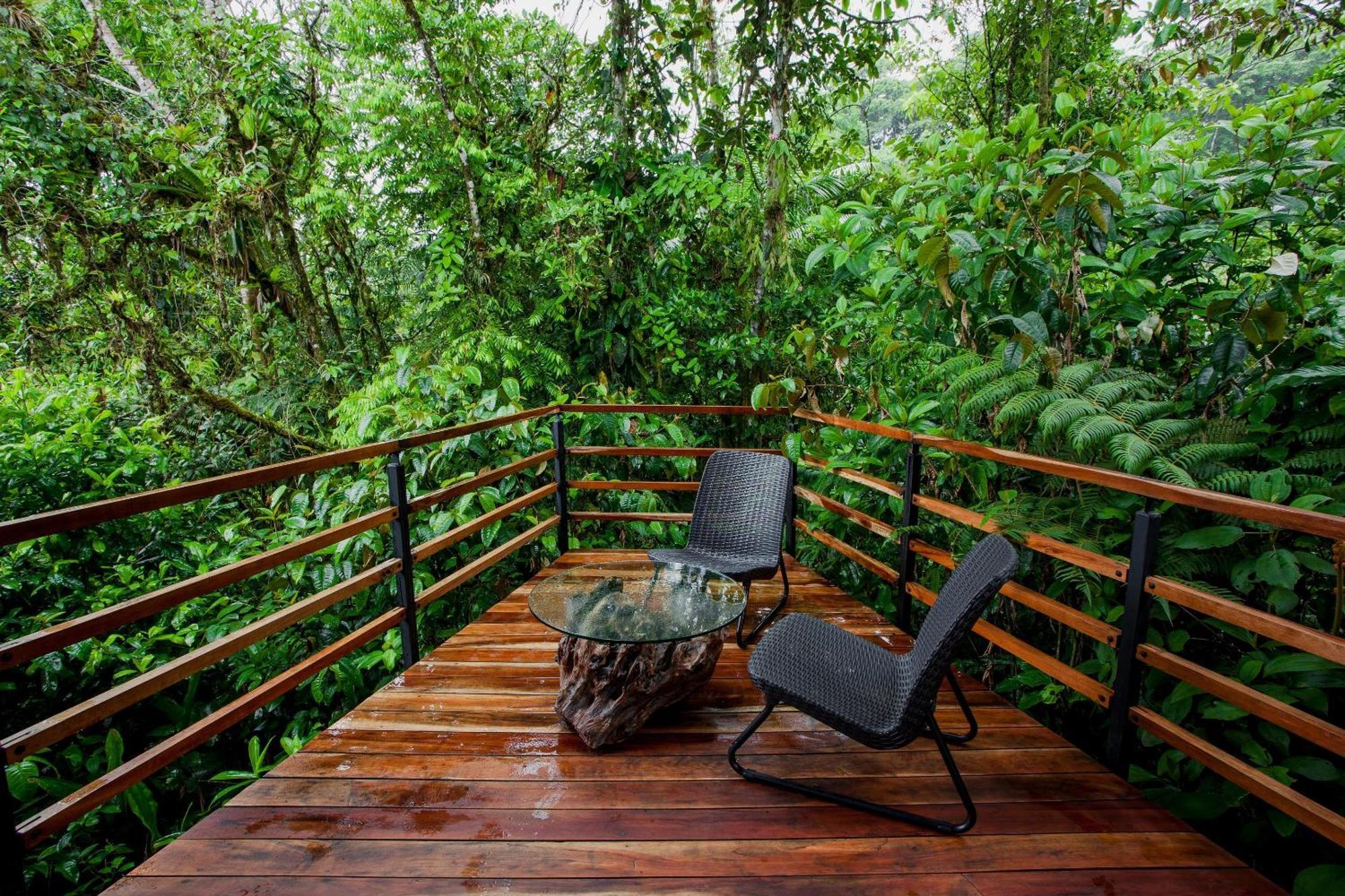 Ecolirios Boutique & Hotel Guacimo (Limon)