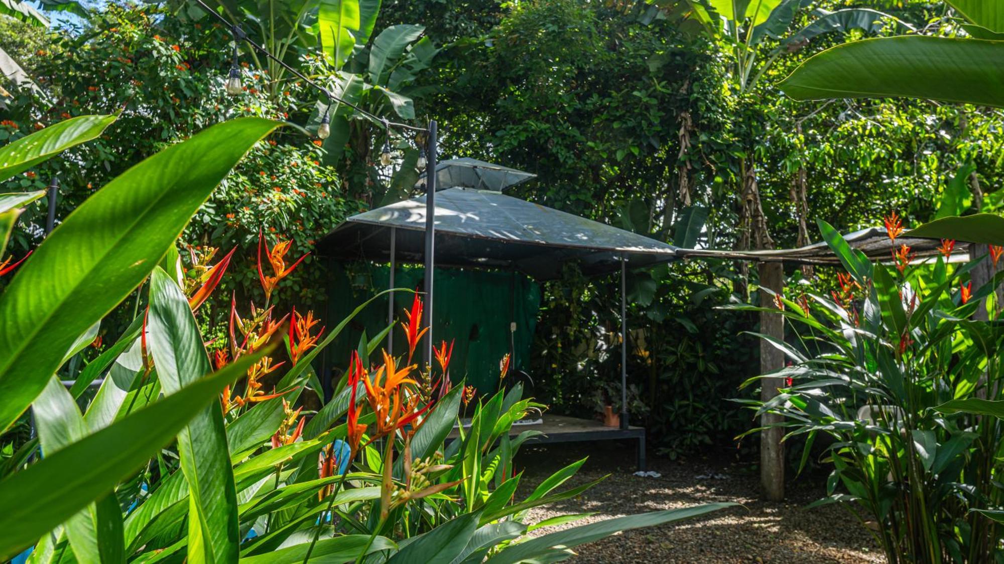 Koru Boutique * Uvita