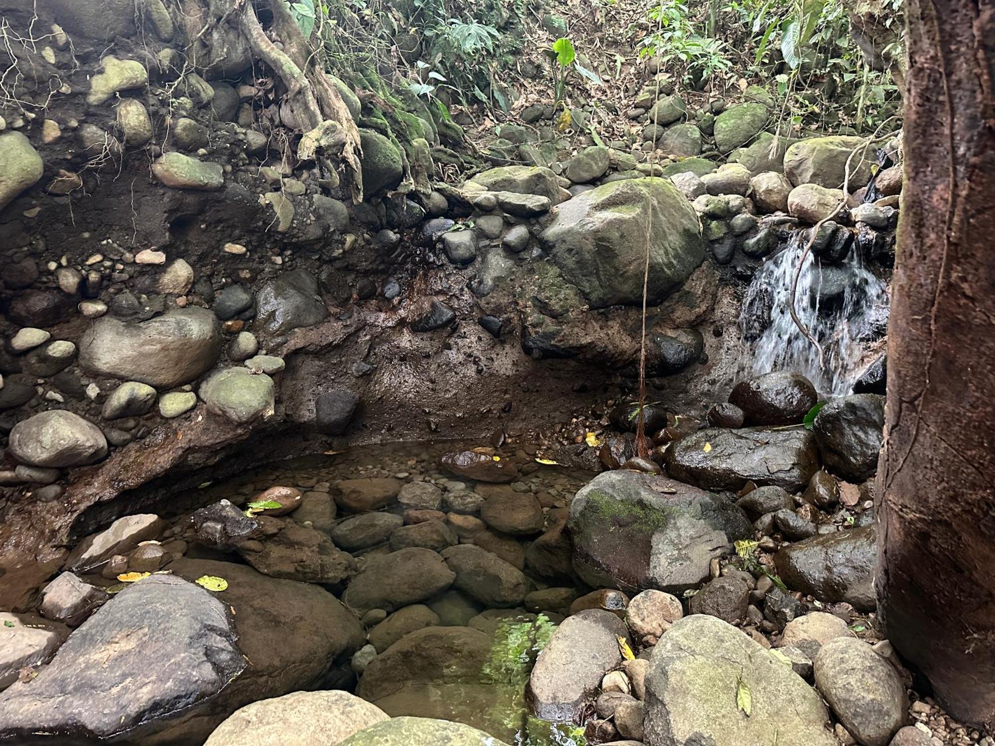 Bed & Breakfast Casa Rio Blanco Eco Friendly Guapiles