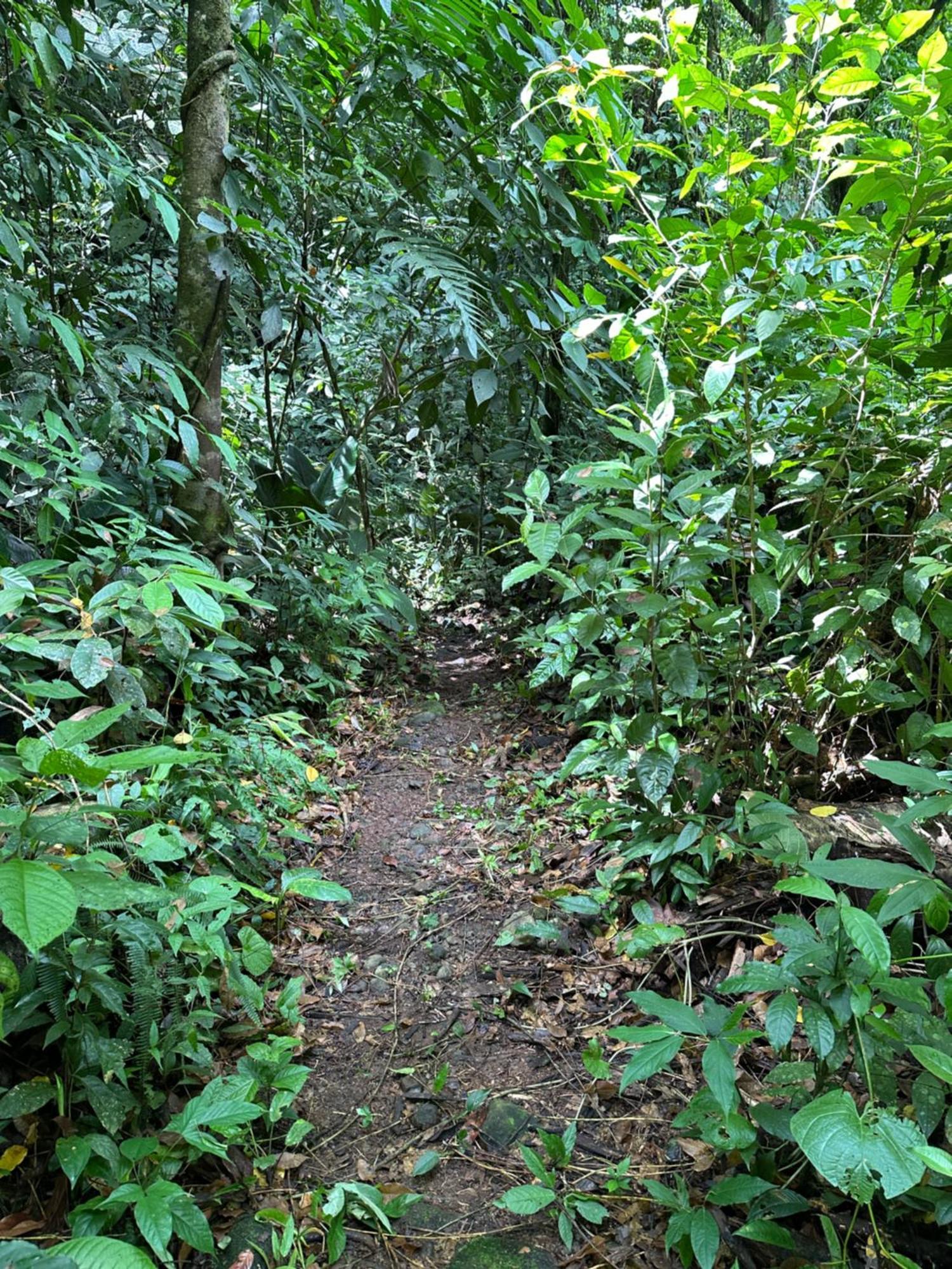 Casa Rio Blanco Eco Friendly Guapiles