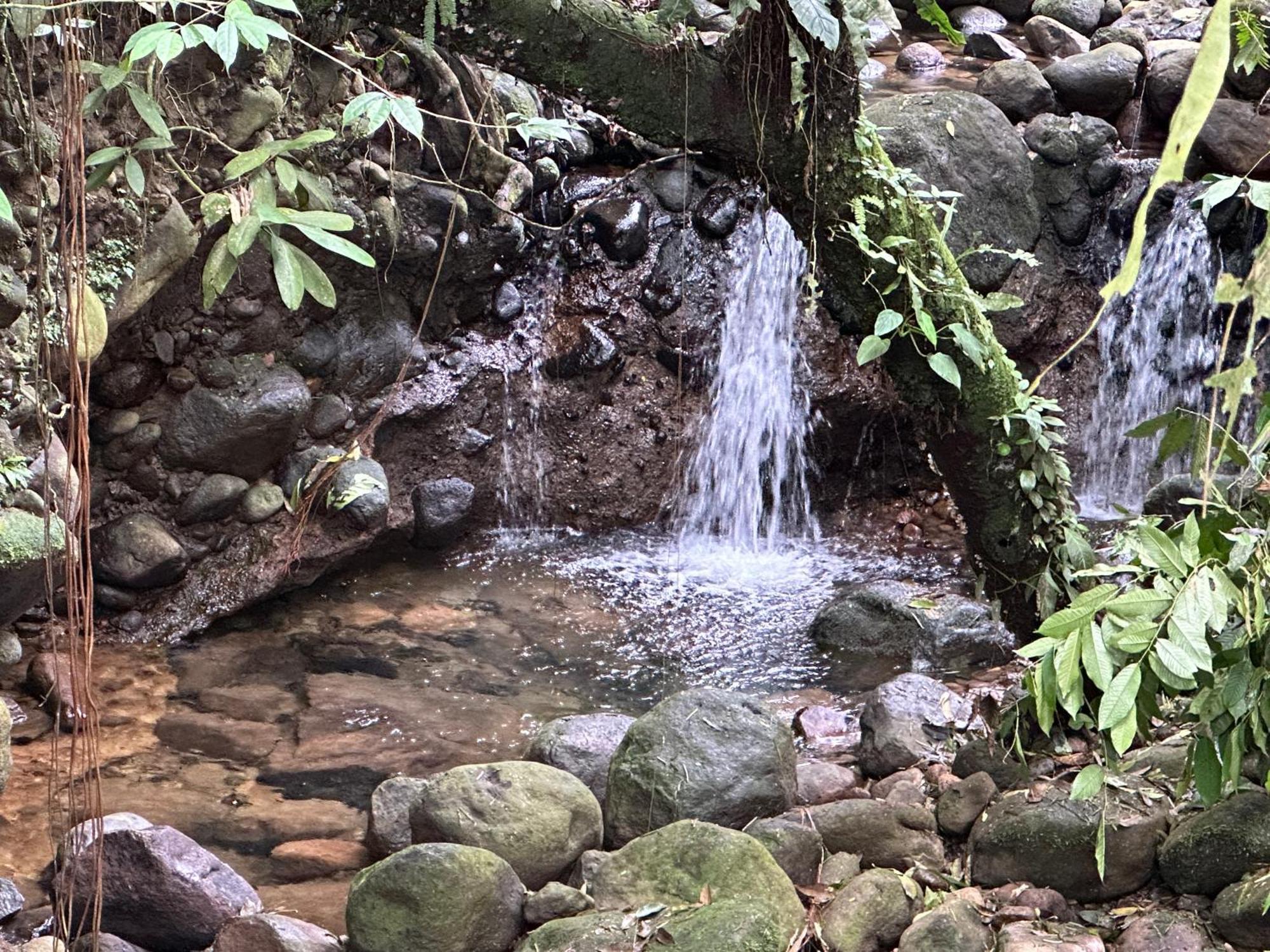 Casa Rio Blanco Eco Friendly * Guapiles