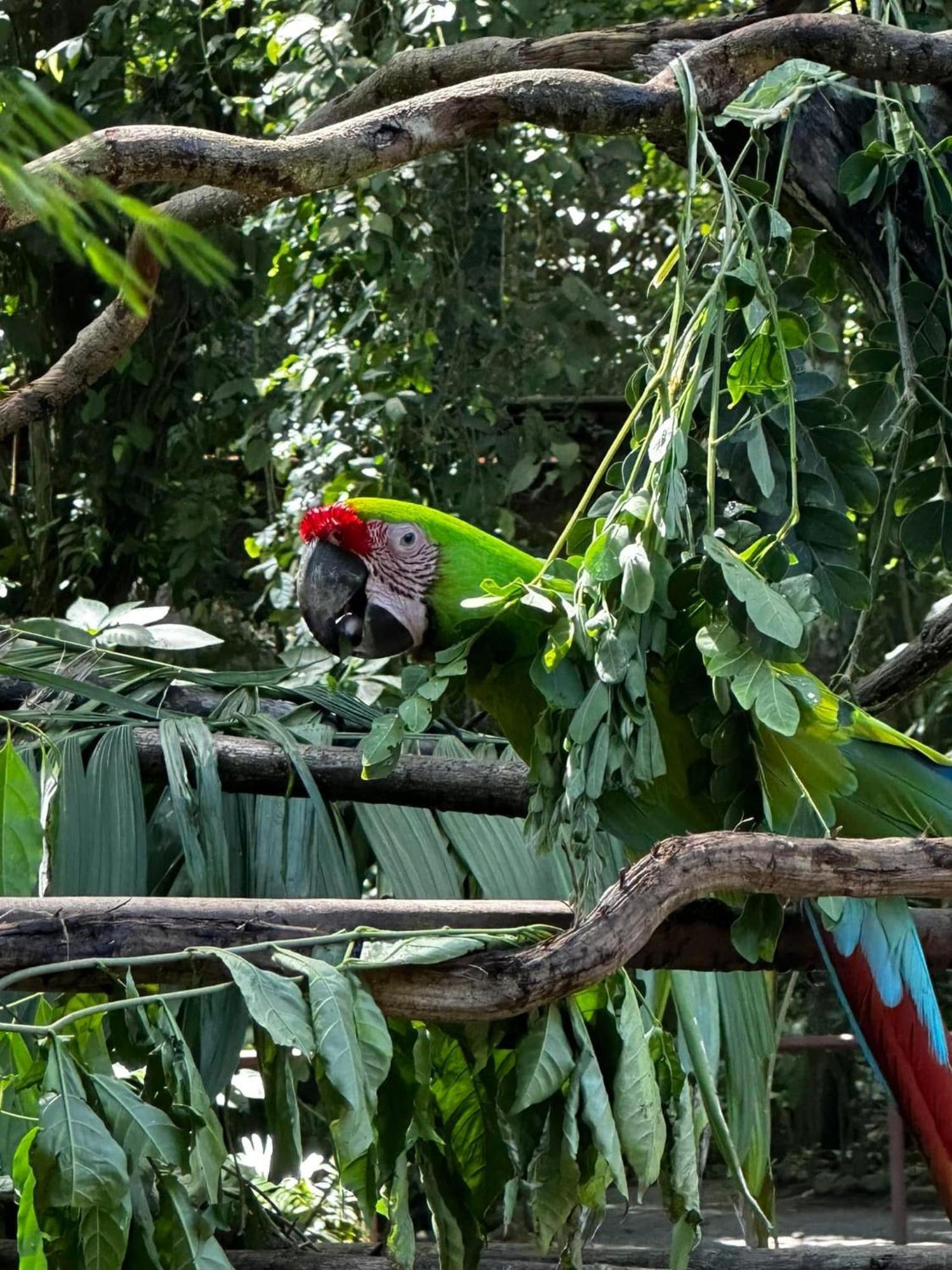 Casa Rio Blanco Eco Friendly