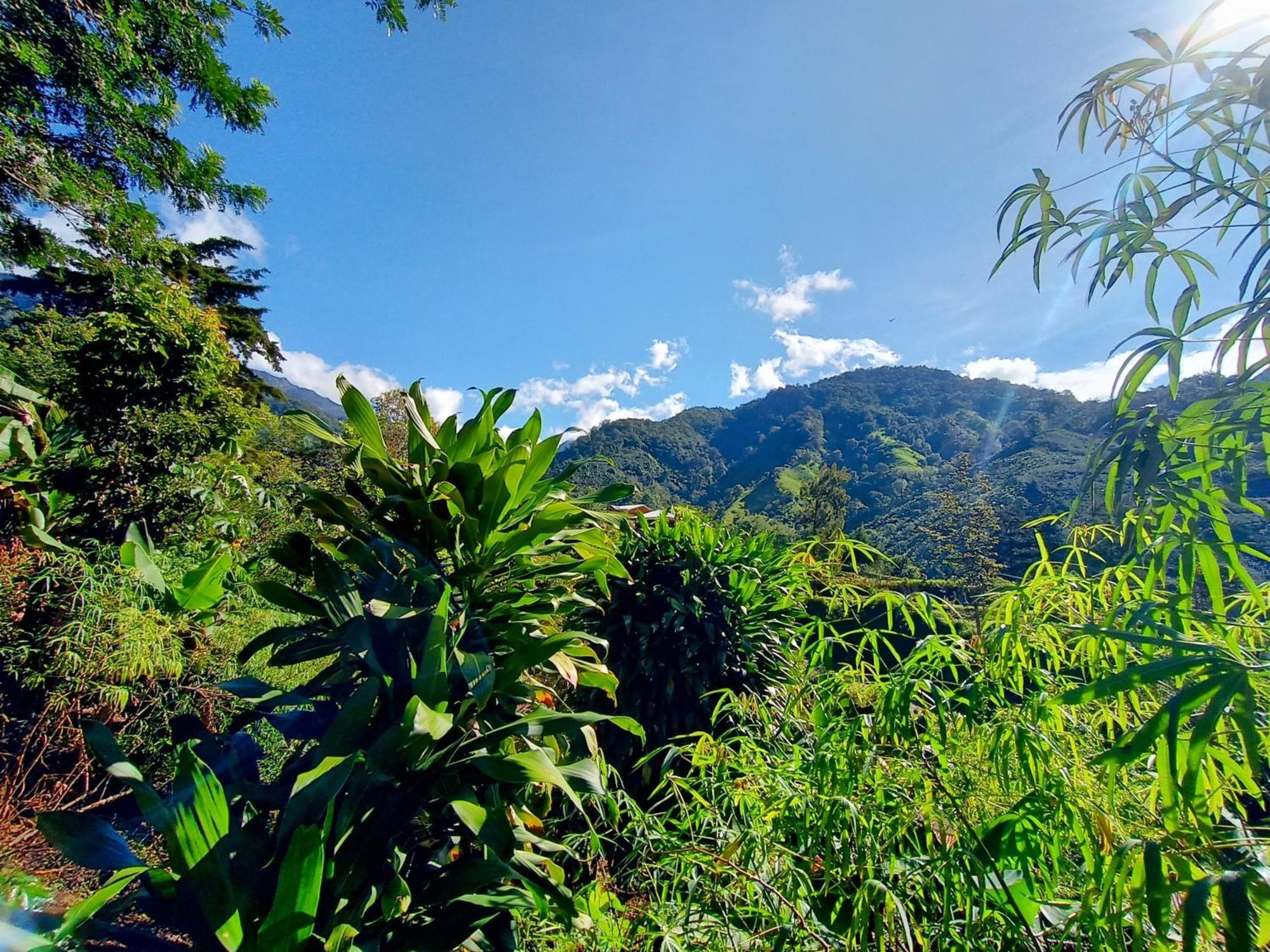 Aloha Chirripo Lodge *