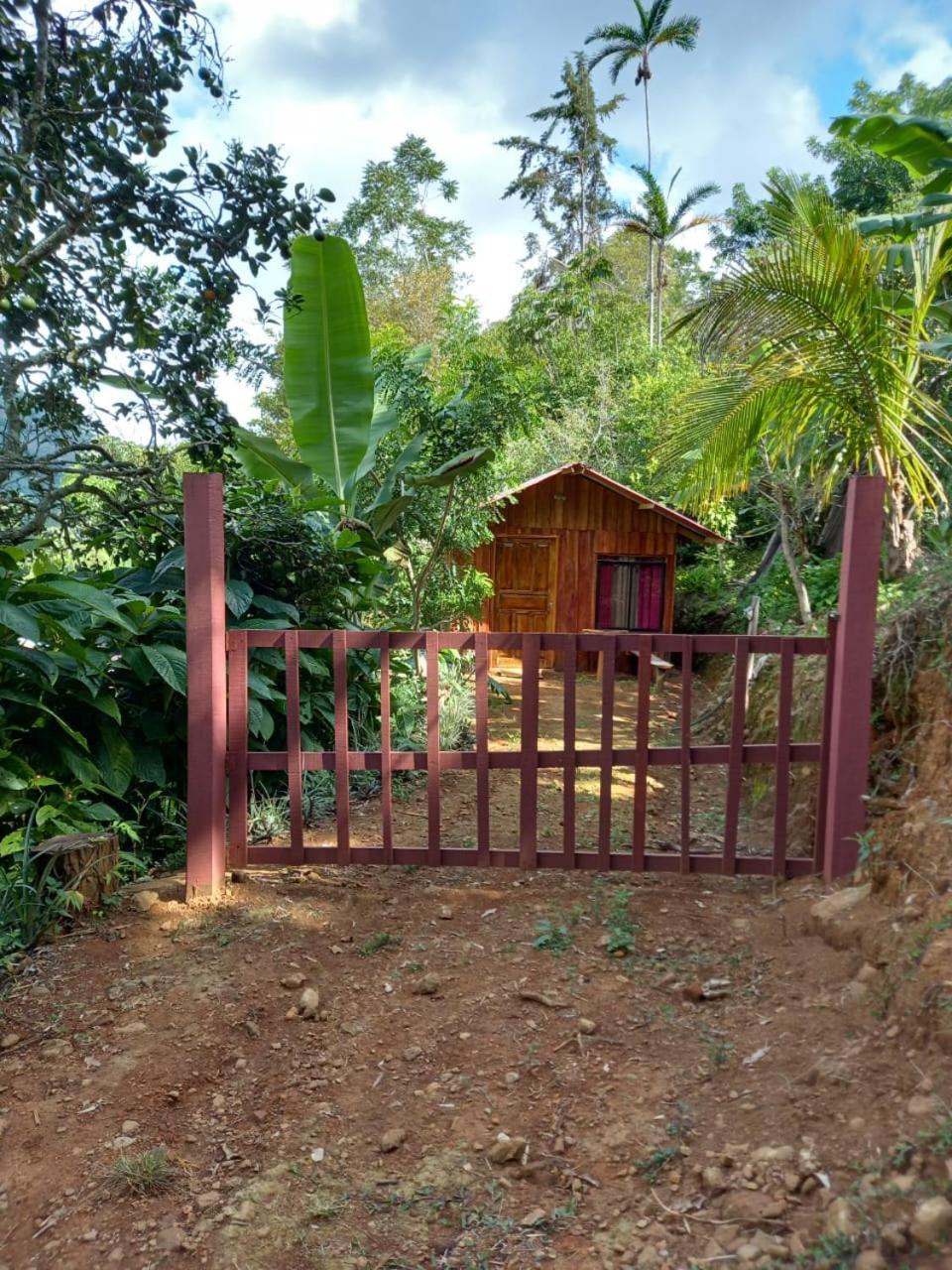 Lodge Aloha Chirripo Convento