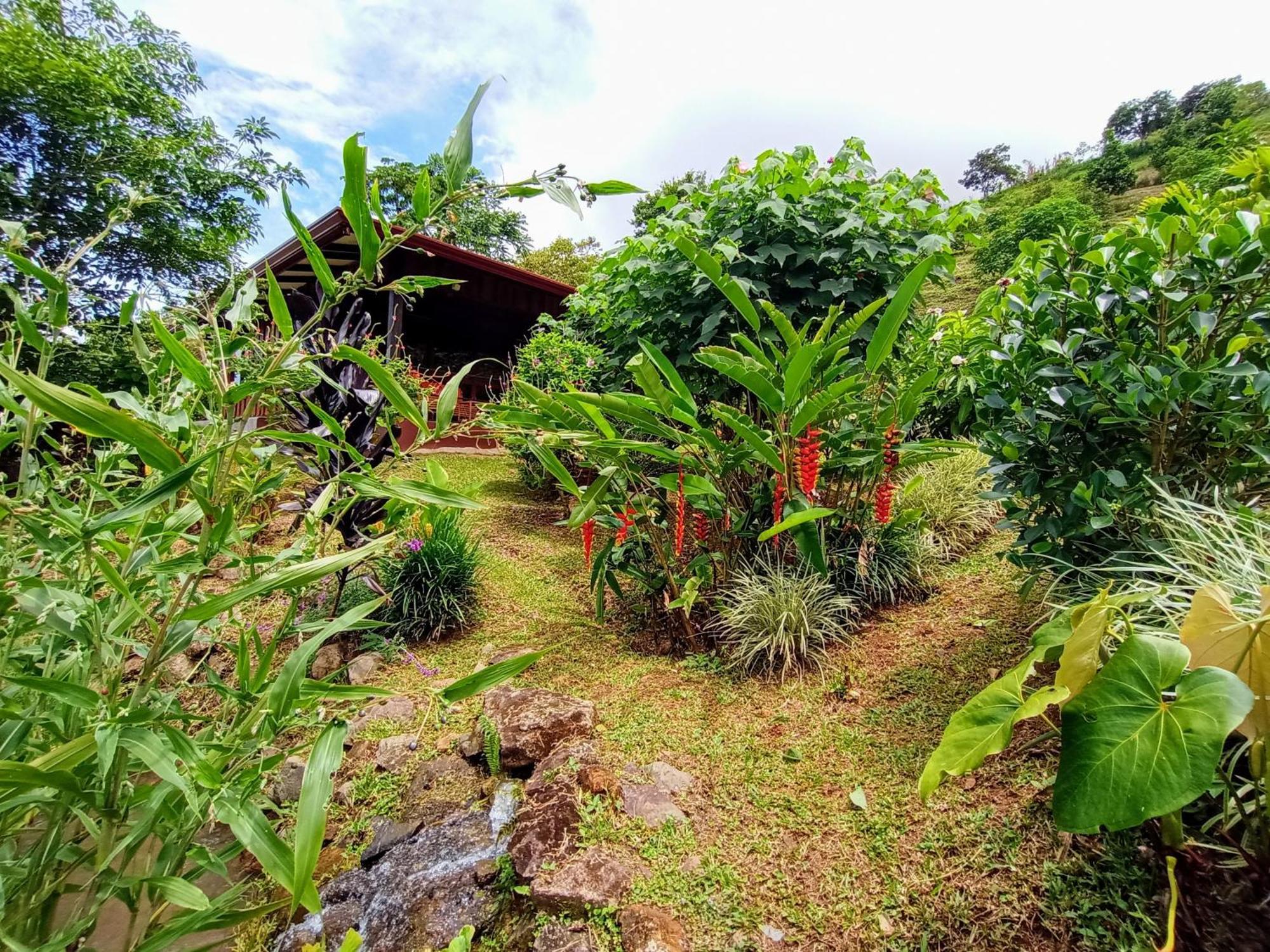 Lodge Aloha Chirripo Convento