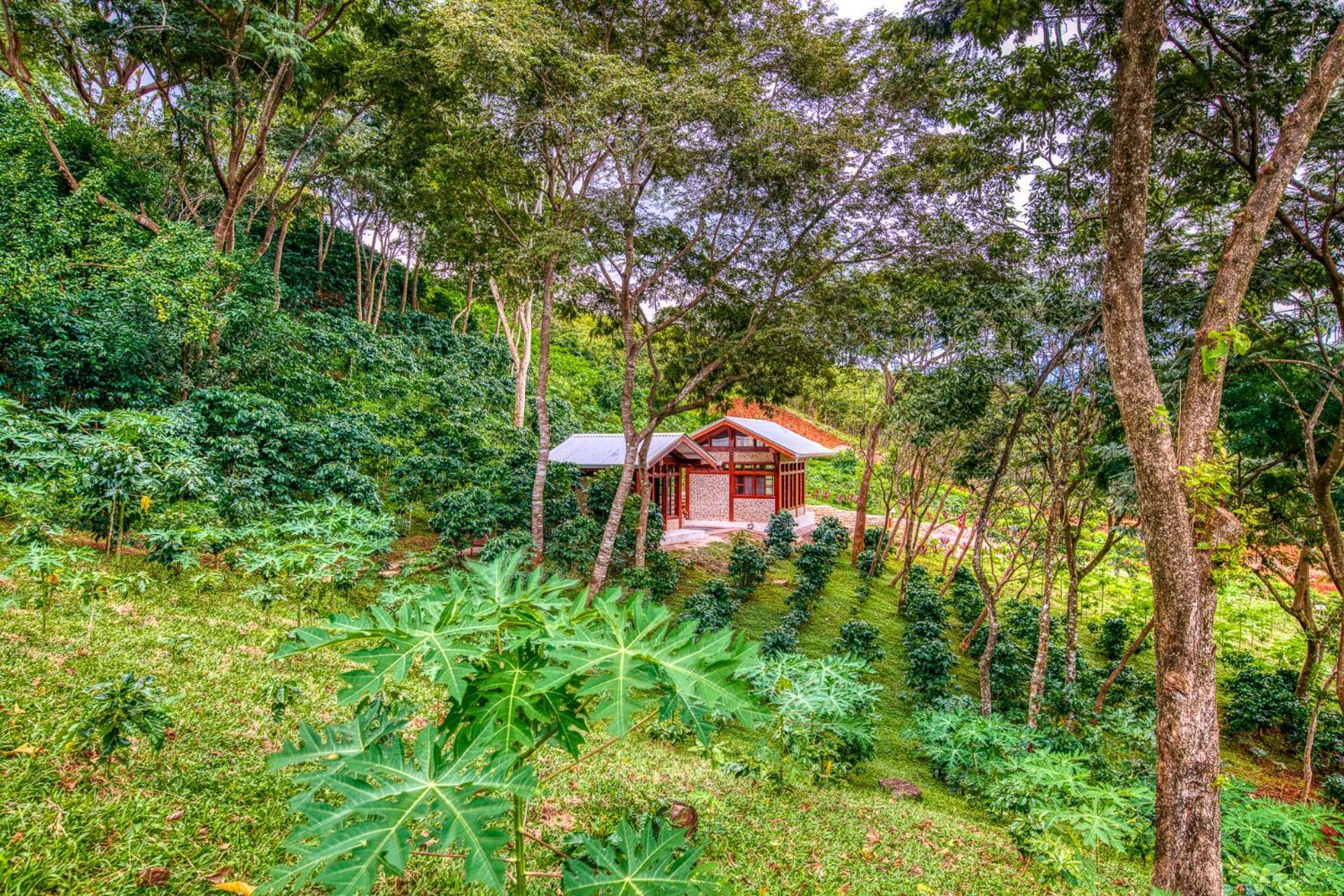 The Retreat At Blue Mountain Farms Samara
