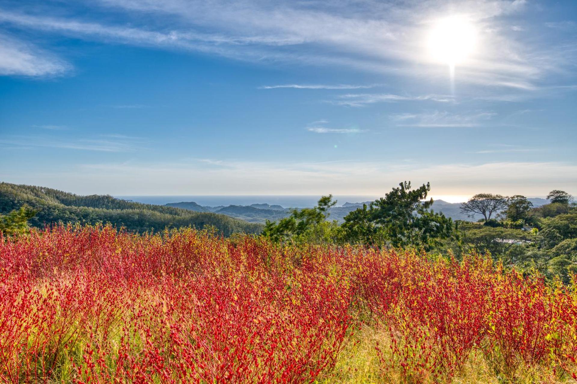 The Retreat At Blue Mountain Farms * Samara