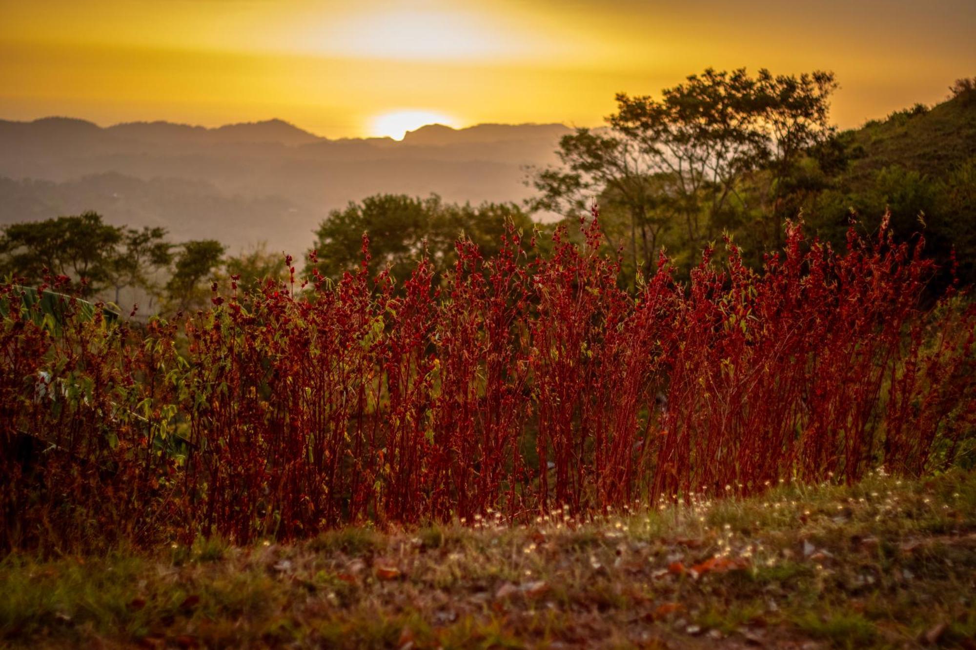 The Retreat At Blue Mountain Farms Villa Samara