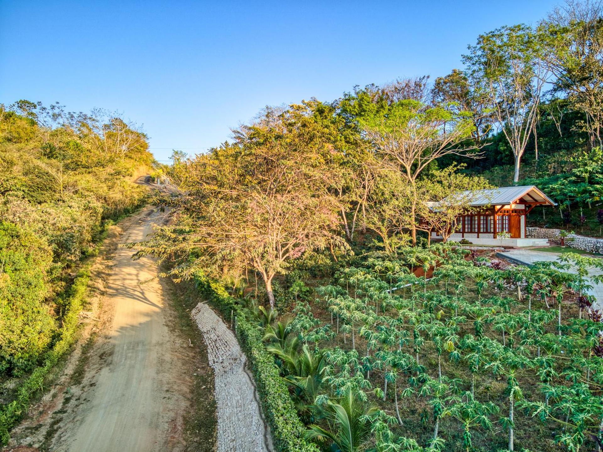 Villa The Retreat At Blue Mountain Farms Samara