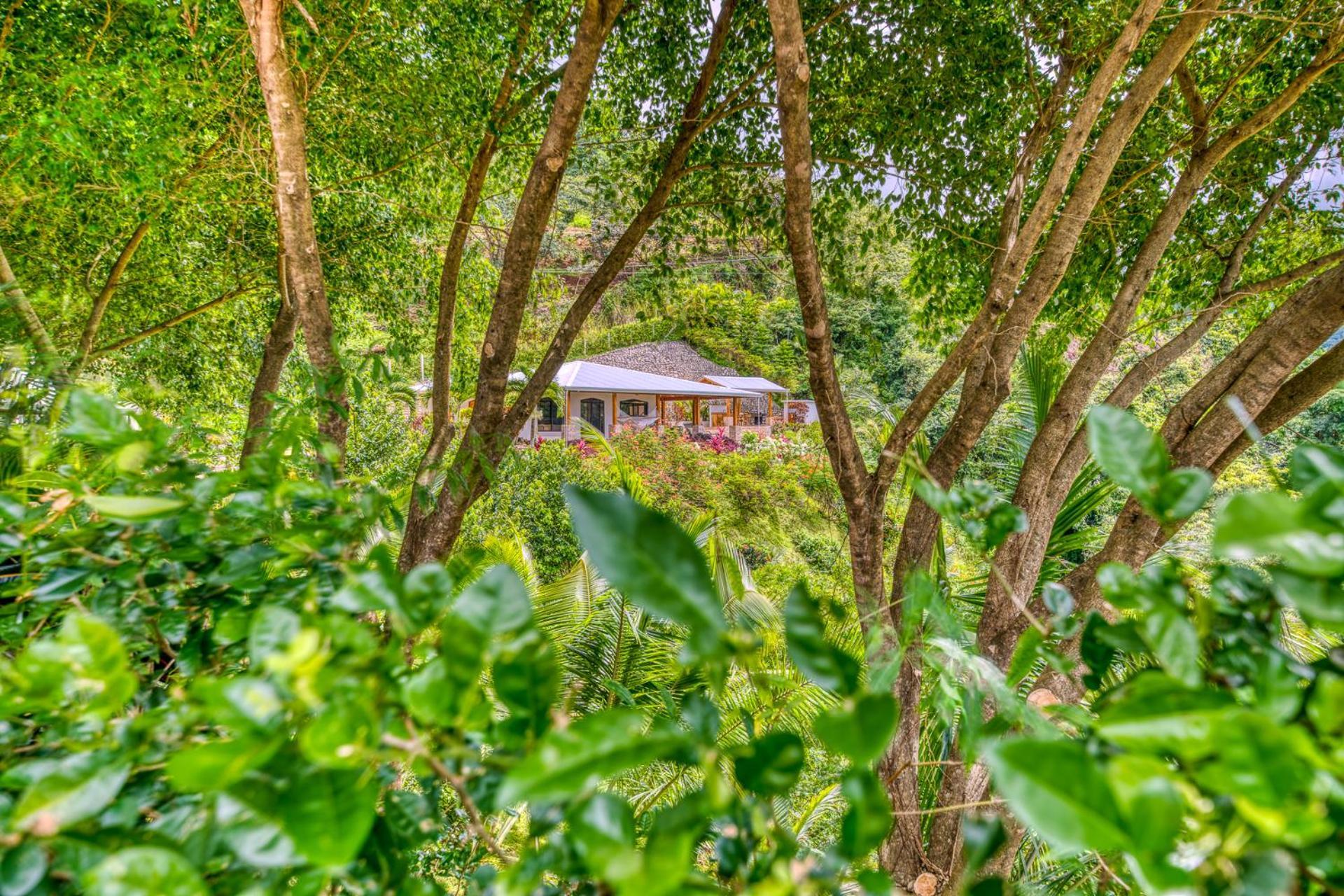 The Retreat At Blue Mountain Farms
