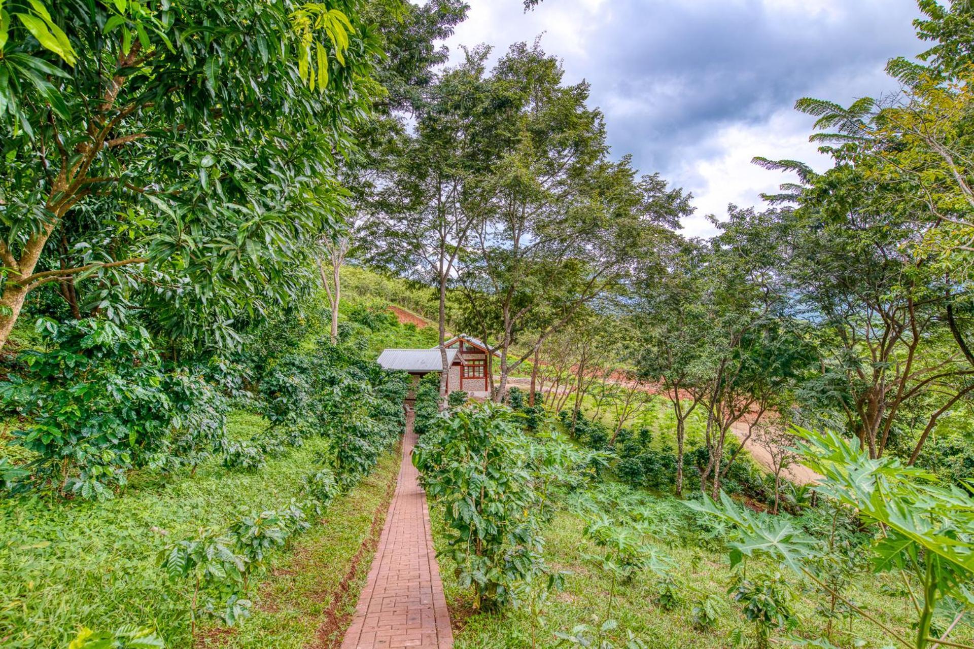 The Retreat At Blue Mountain Farms