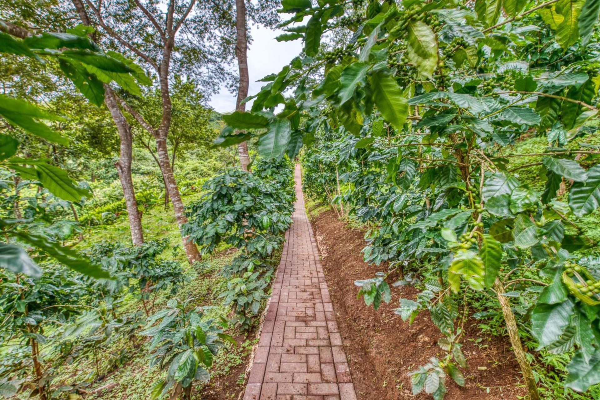 The Retreat At Blue Mountain Farms Villa *