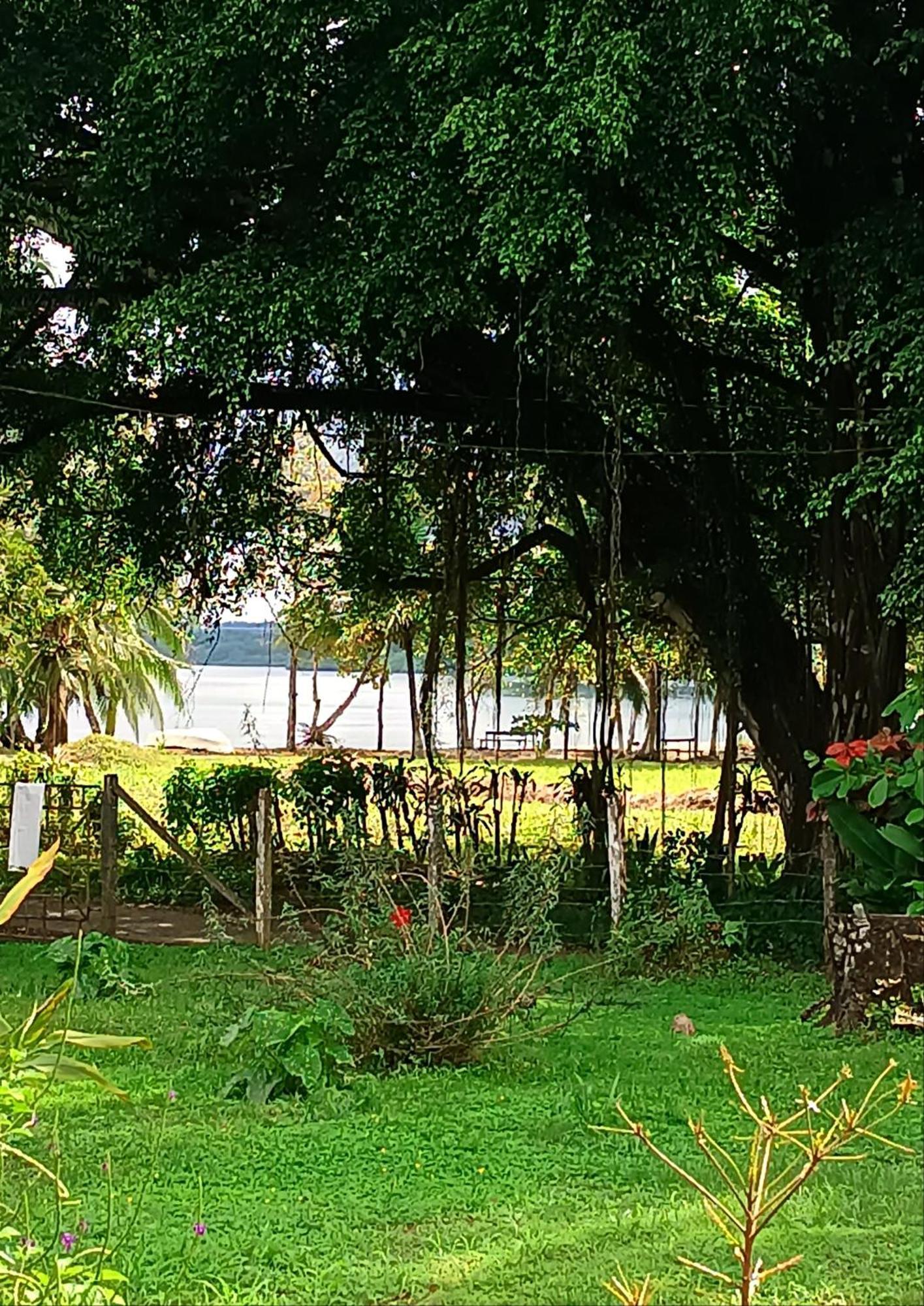 Hotel Macaw
