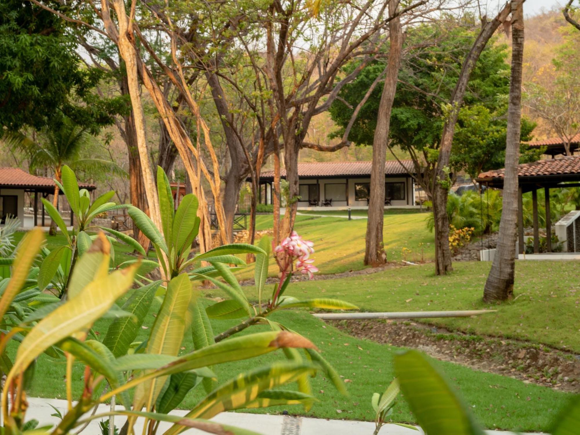 Reunion And Wellness Center Playa Danta