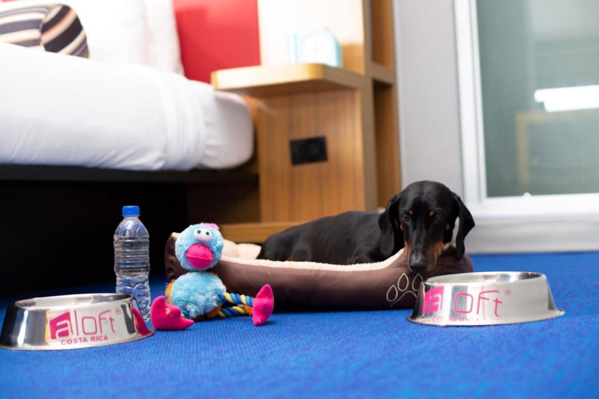 Aloft Hotel, Costa Rica Hotel 4*