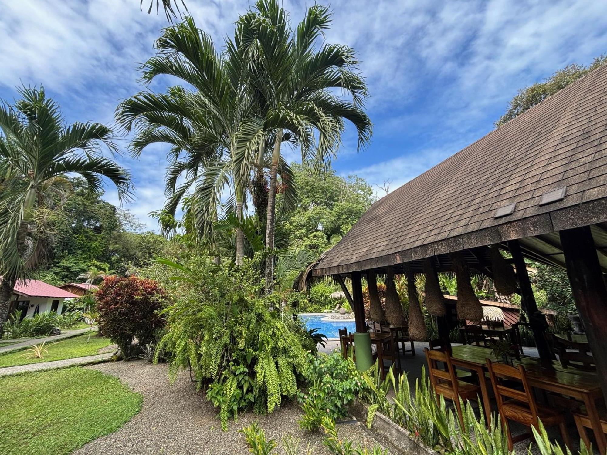 Suizo Loco & Cahuita