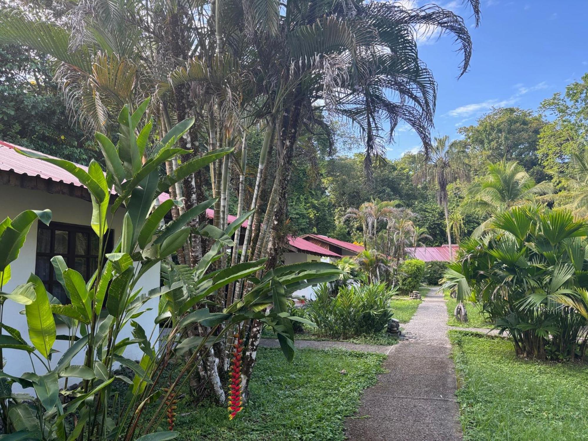 Hotel Suizo Loco &