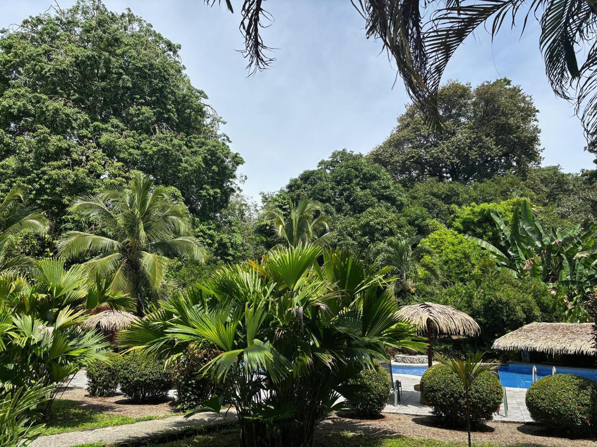 Suizo Loco & Hotel
