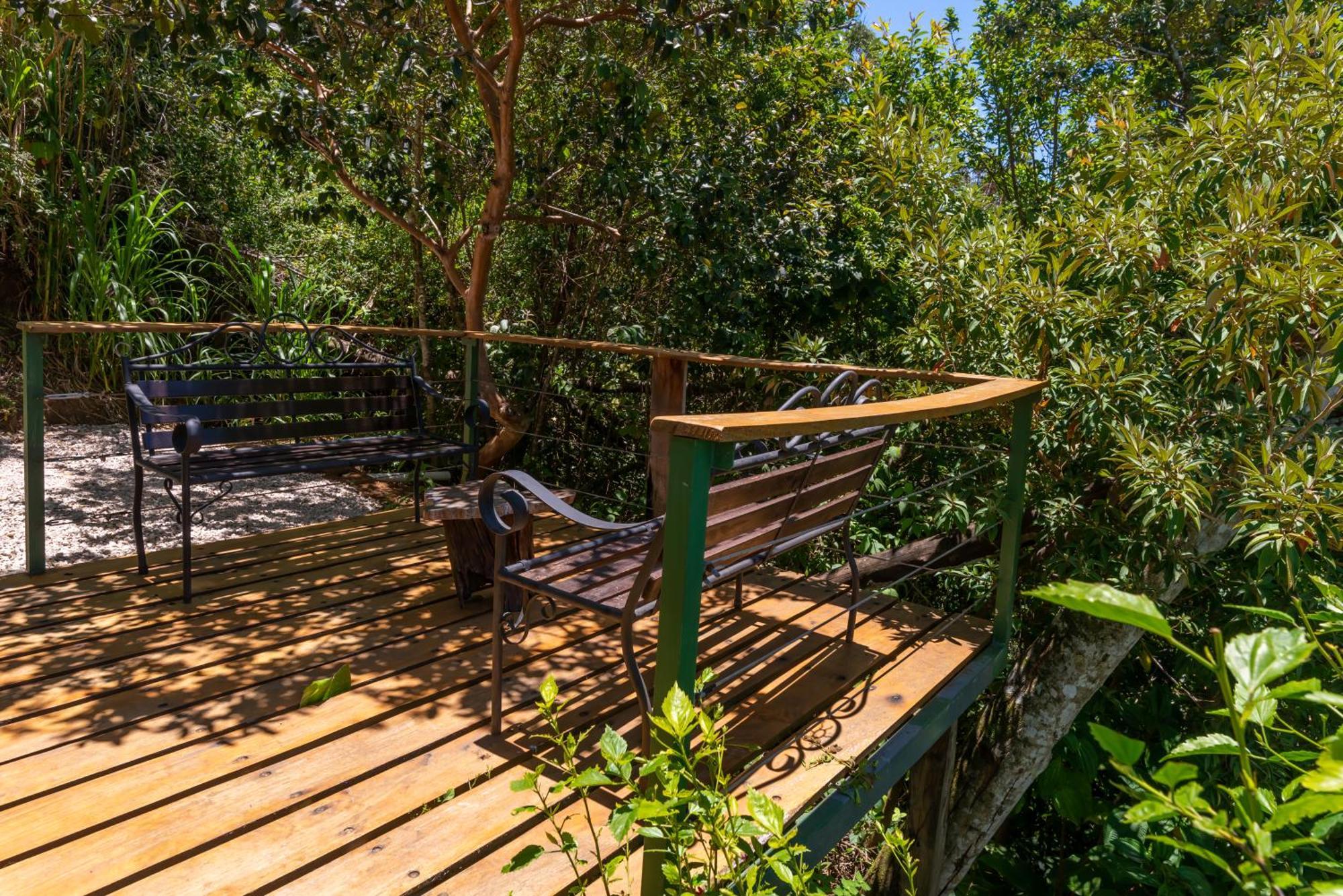 Farm stay Cabinas Capulin & Farm *