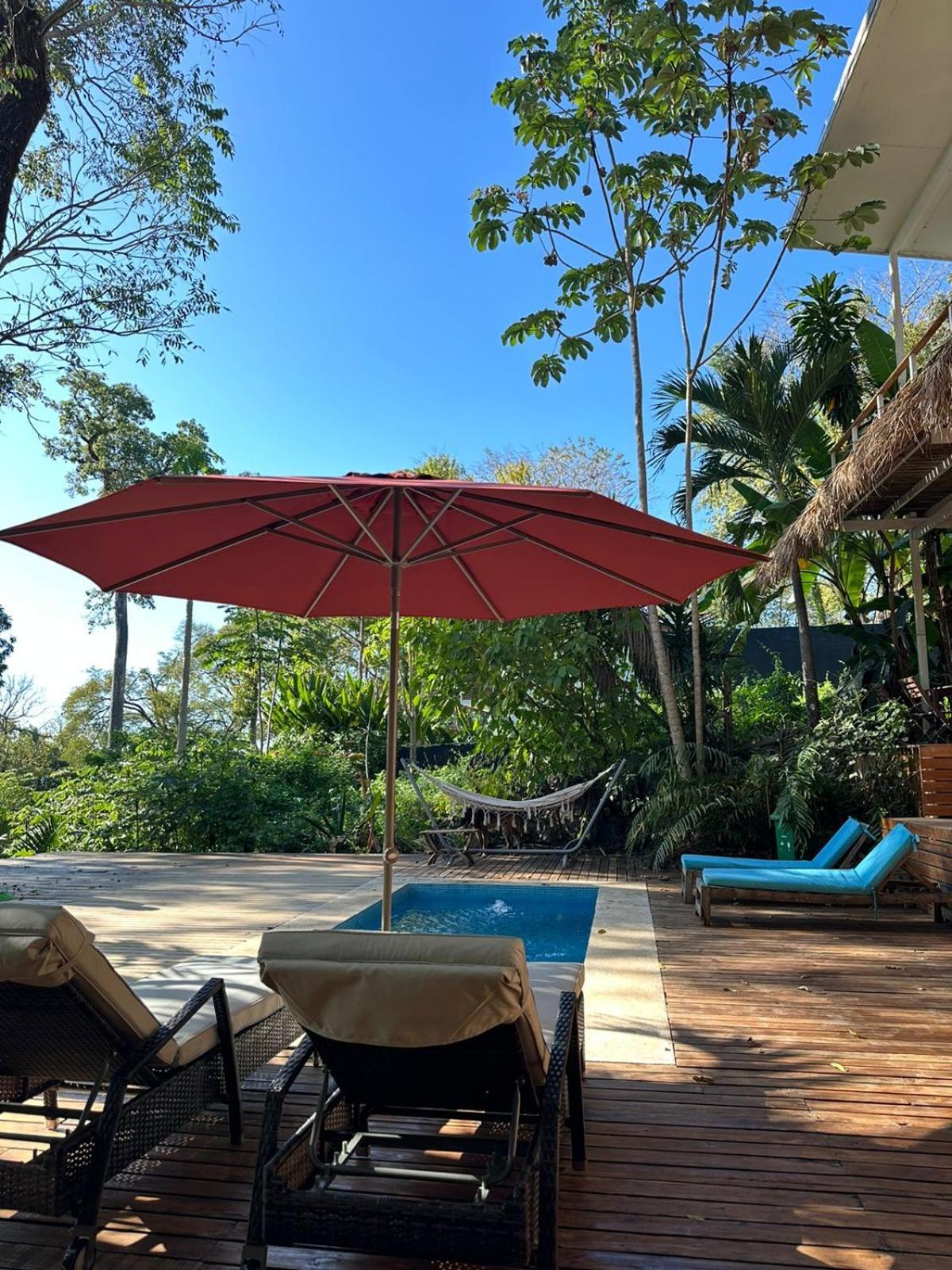 La Sana Surf Hotel, New Management, Few Mn Drive To The Hotel Playa Santa Teresa (Puntarenas)