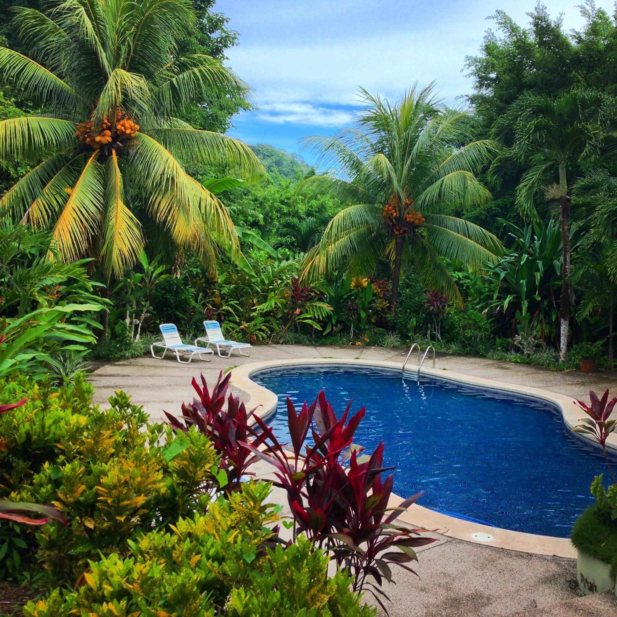 Star Mountain Jungle & Horse Ranch Bed & Breakfast Malpais