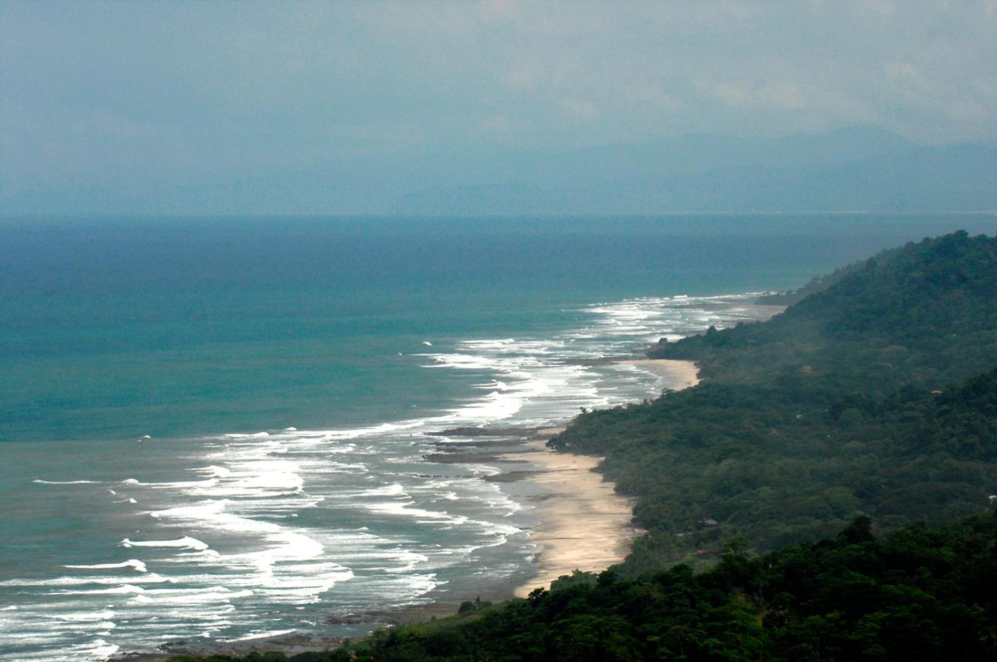 Star Mountain Jungle & Horse Ranch
