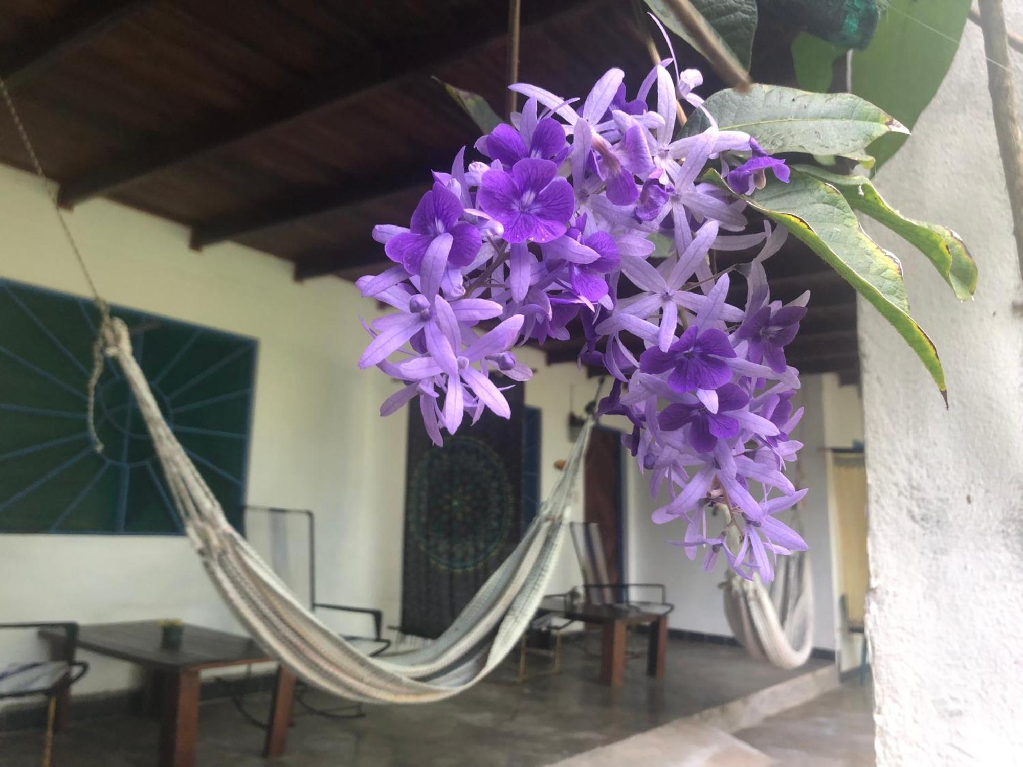 Hotel El Pargo Feliz