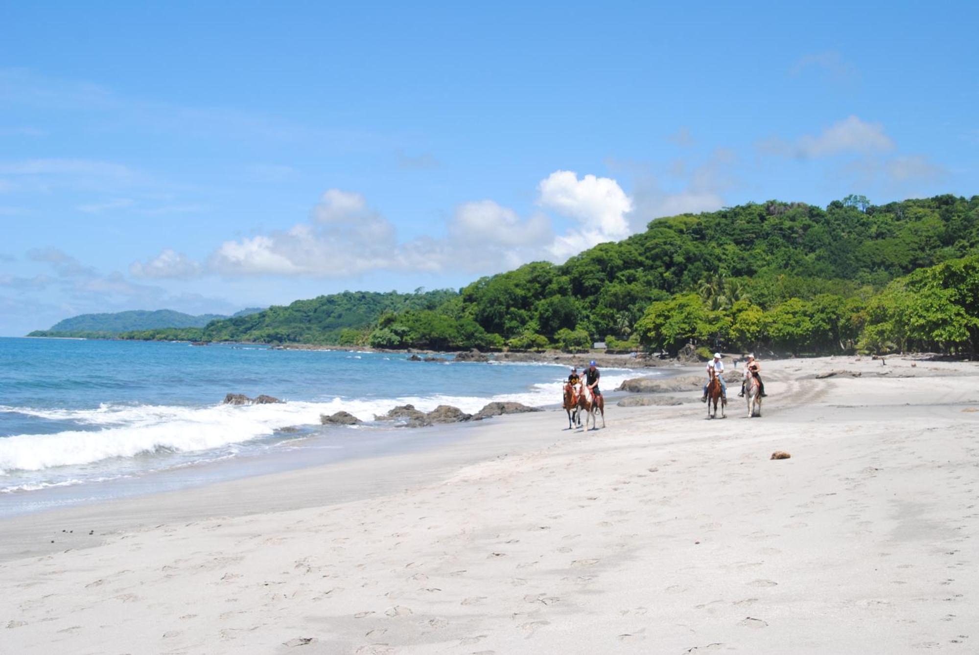 El Pargo Feliz Montezuma