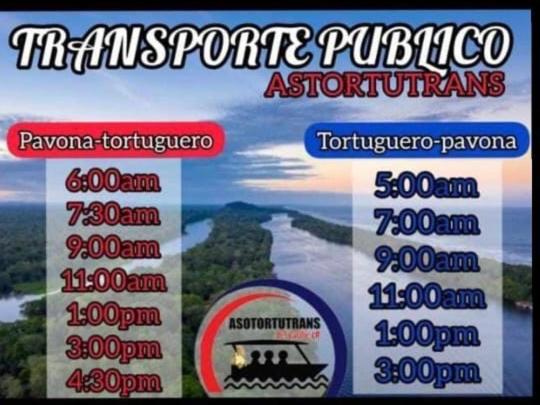 Casa Turtle Bogue Guest house *