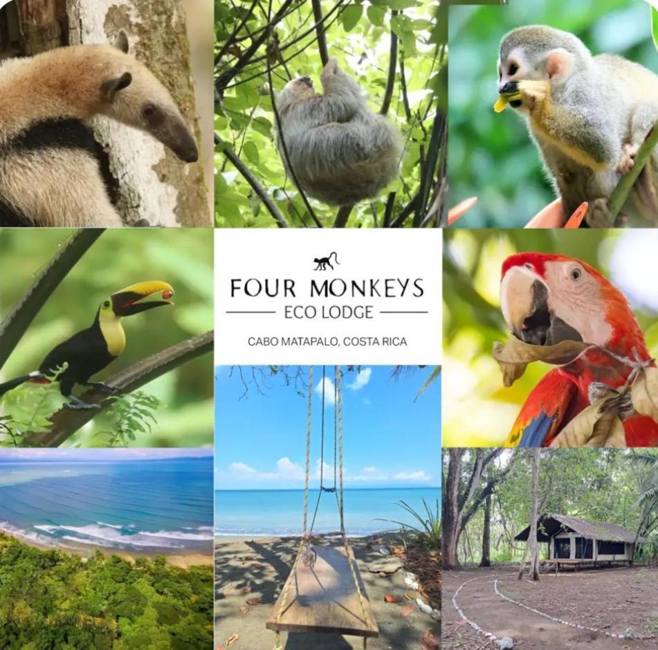 Four Monkeys Eco - Jungle & Lodge *