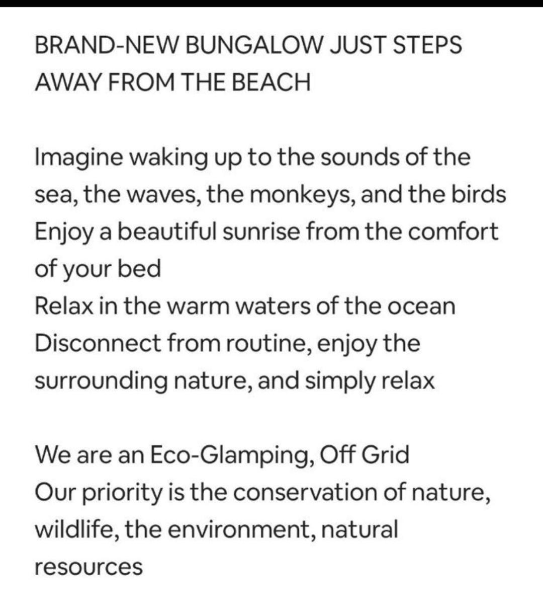 Lodge Four Monkeys Eco - Jungle & *