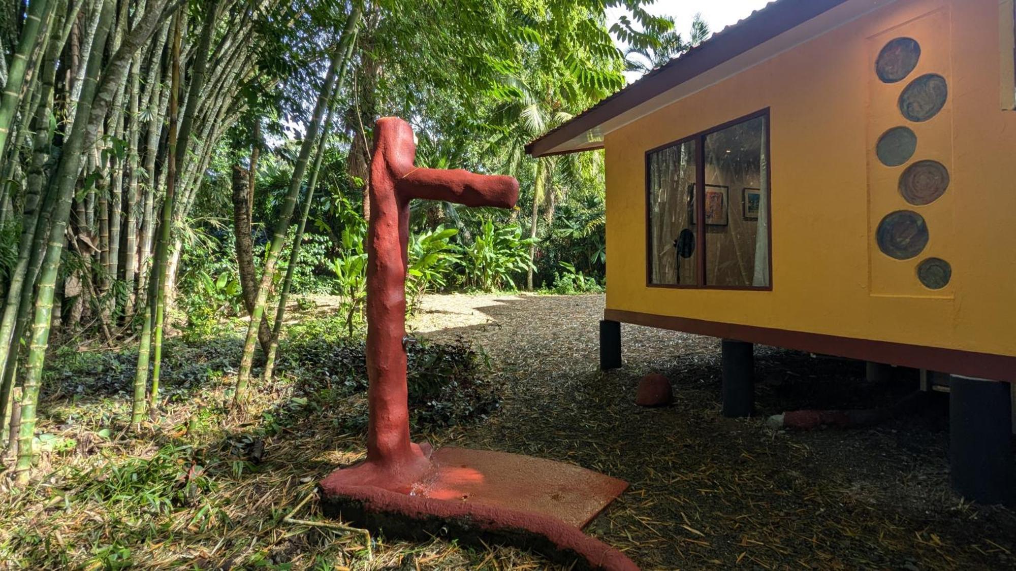Tree House Beachfront Puerto Viejo de Talamanca