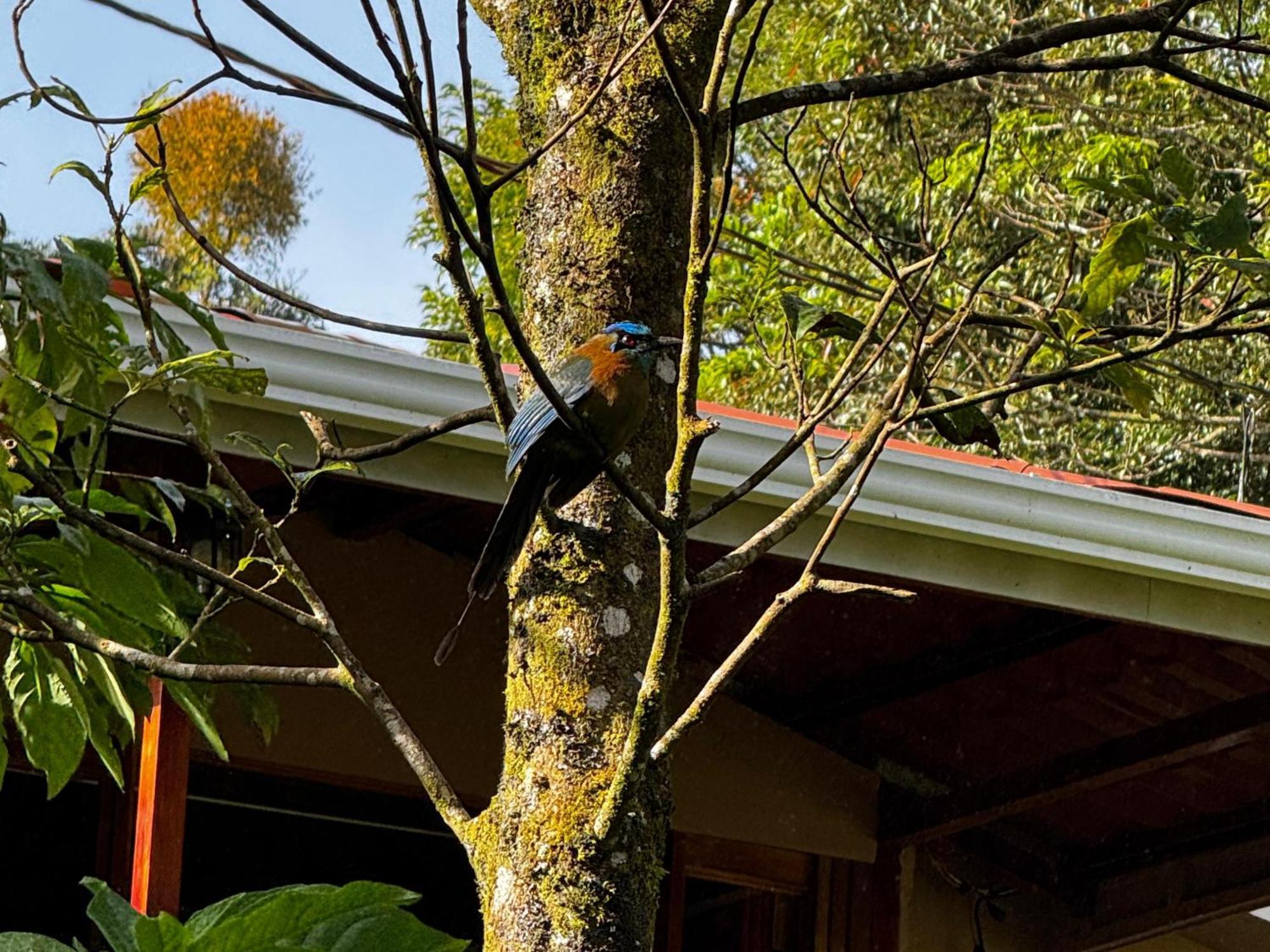 House * Monteverde