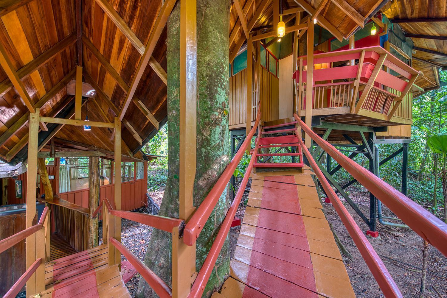 Lodge Tree House Beachfront