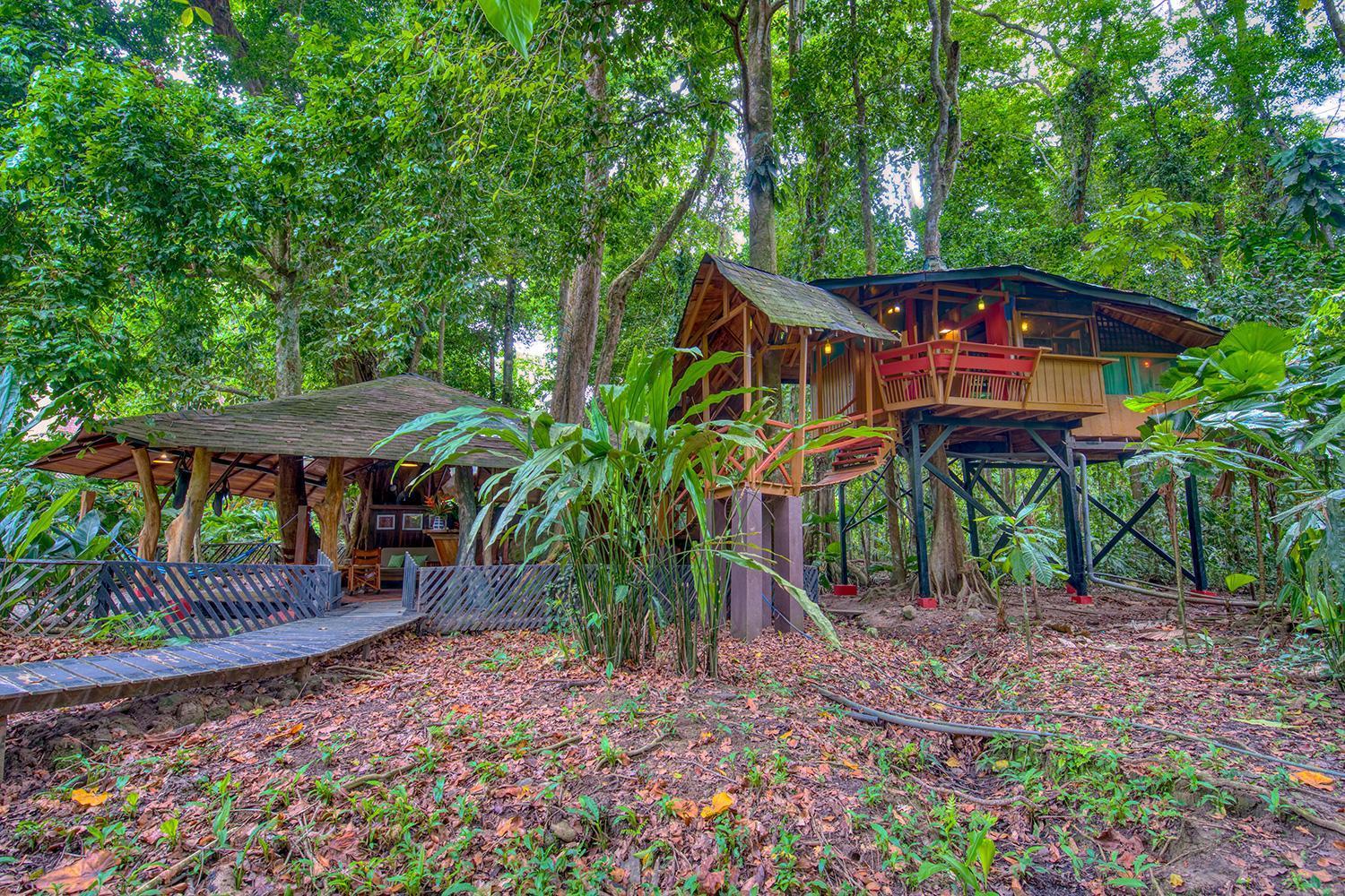 Lodge Tree House Beachfront Puerto Viejo de Talamanca