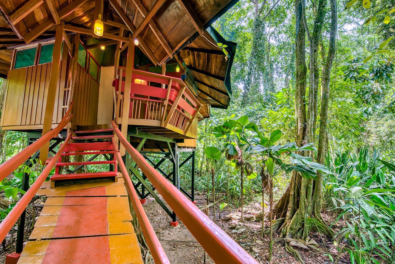 Tree House Beachfront *