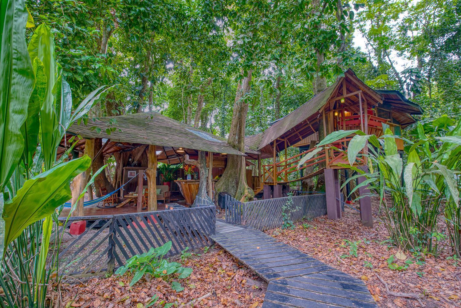 Tree House Beachfront * Puerto Viejo de Talamanca