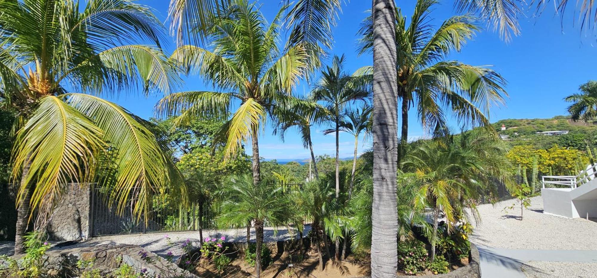 Pura Vida