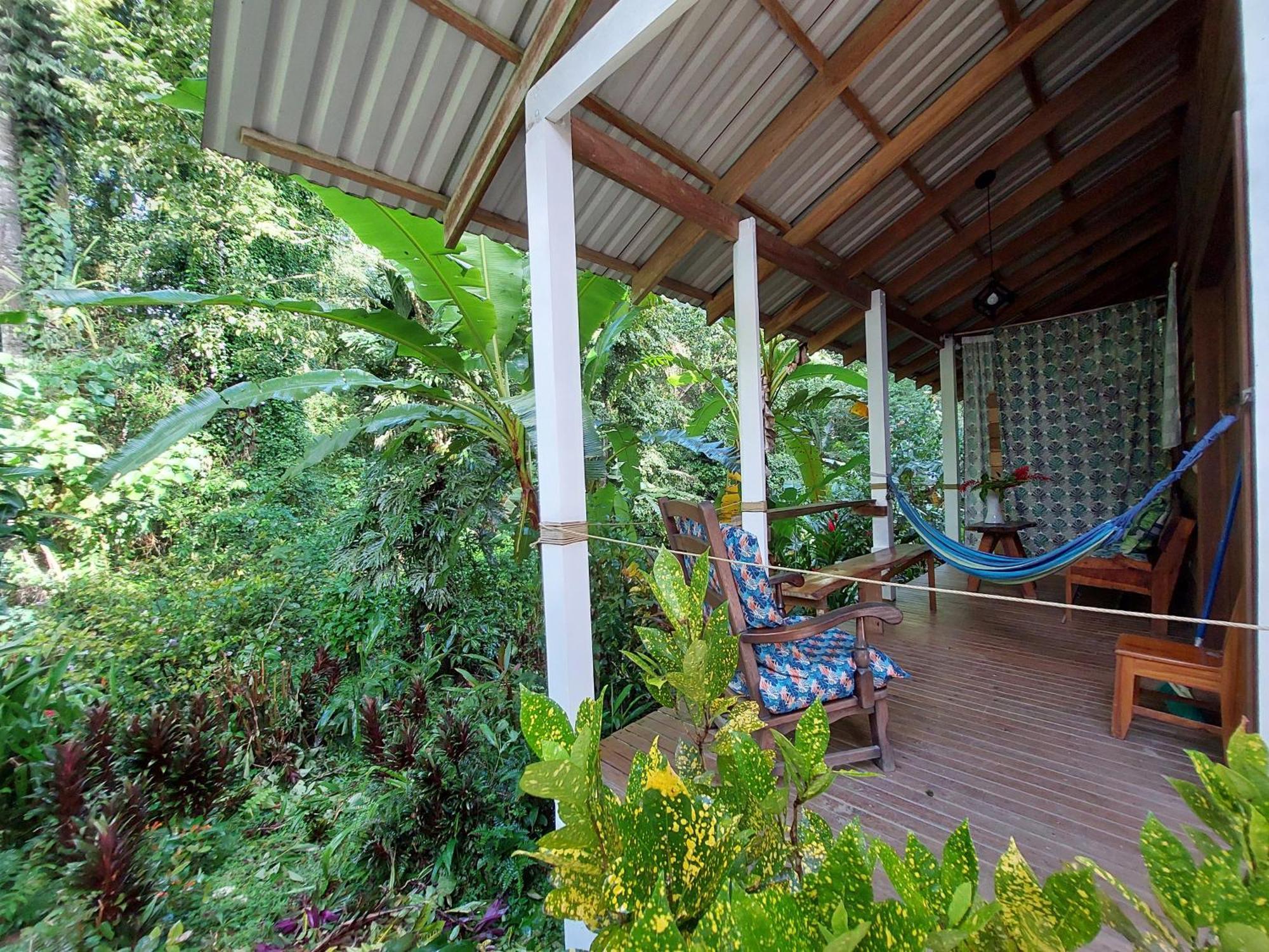 Apartment Casa Lina Sloth View Exotic With Privat Kitchen *