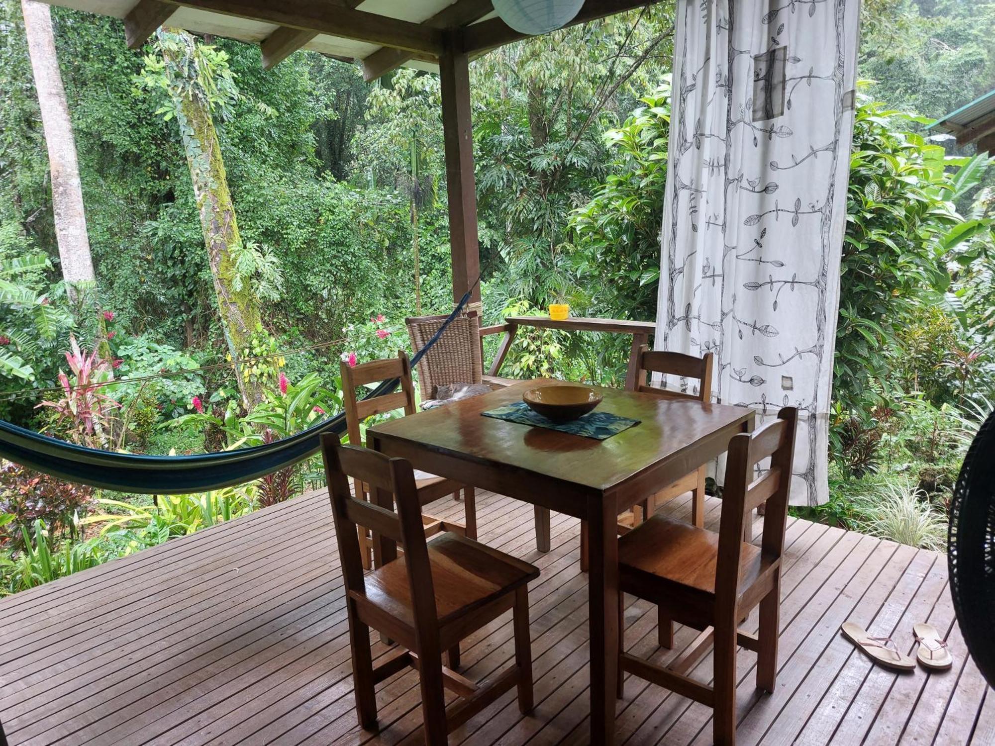 Casa Lina Sloth View Exotic With Privat Kitchen *