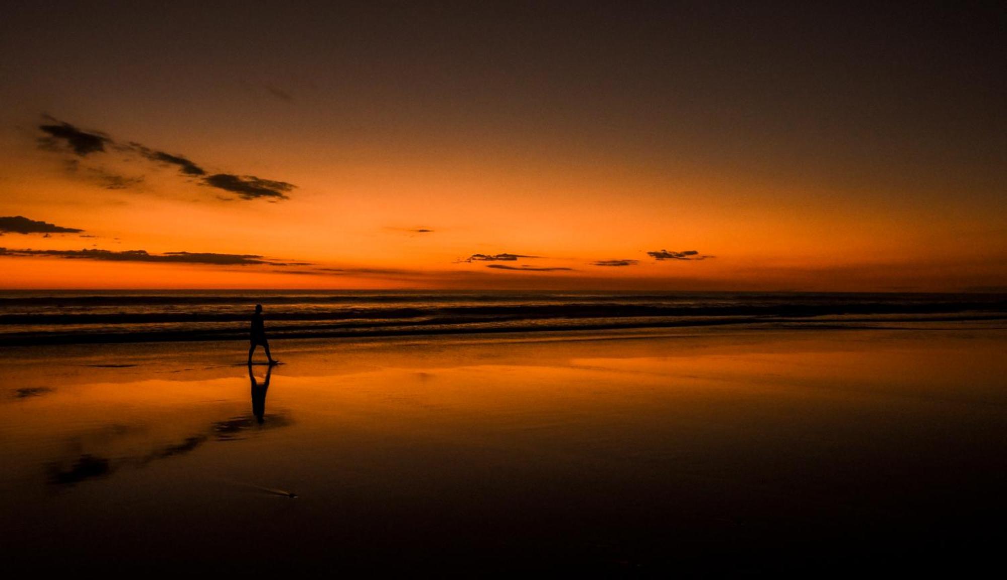 Colibri - 4 Min Walk To The Beach! Apartment Playa Santa Teresa (Puntarenas)