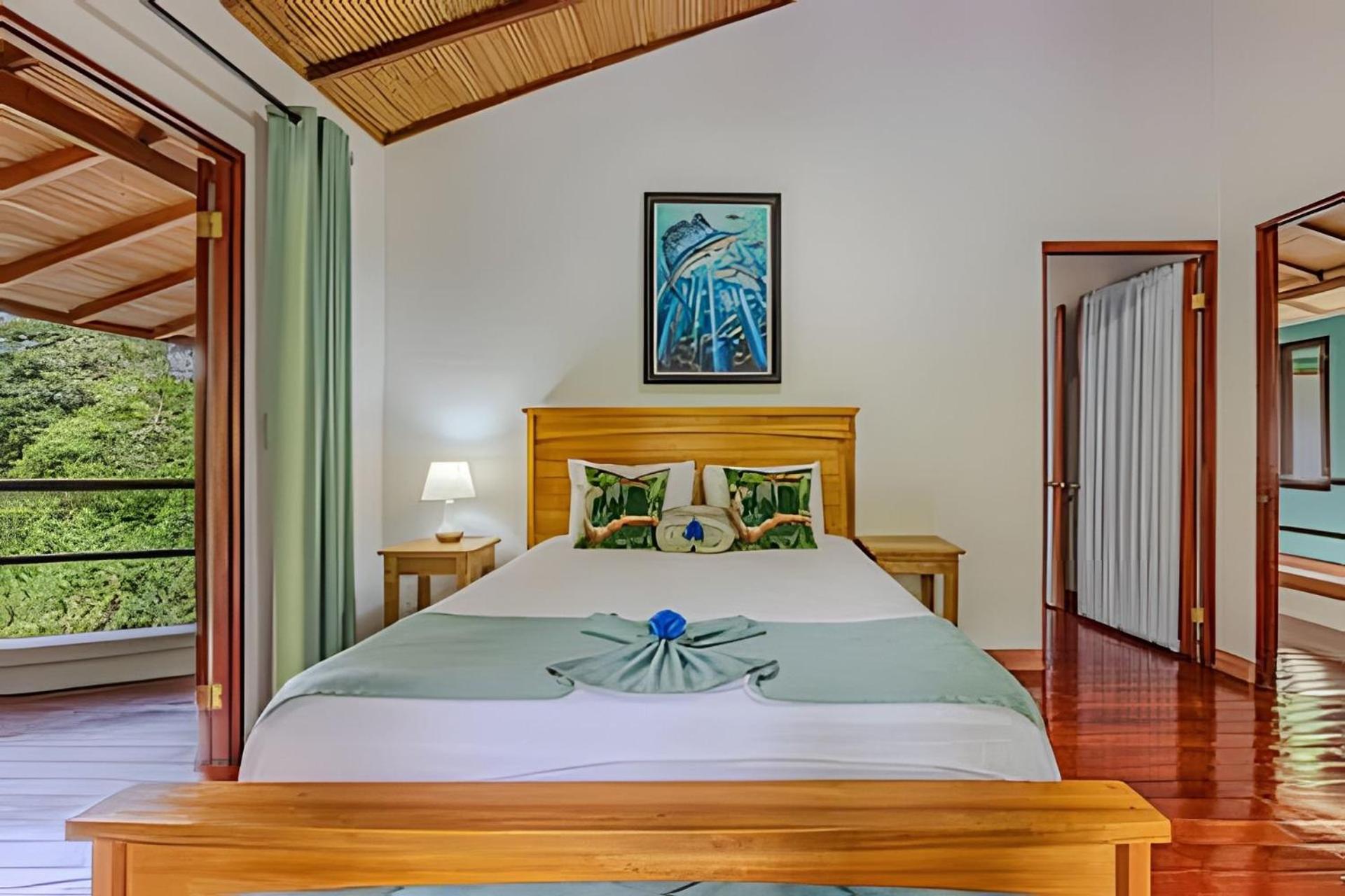 Bed & Breakfast The Jungle